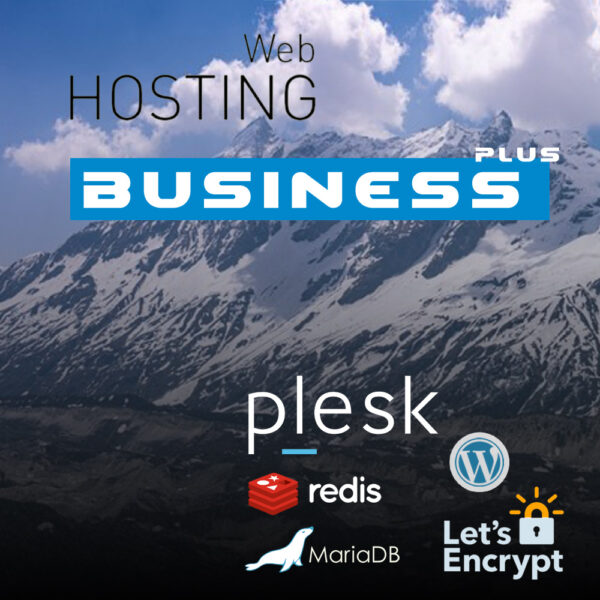 Website Business Plus