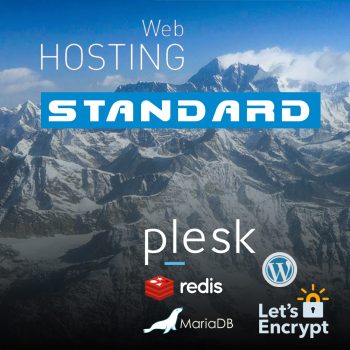 Website Standard, 1 year